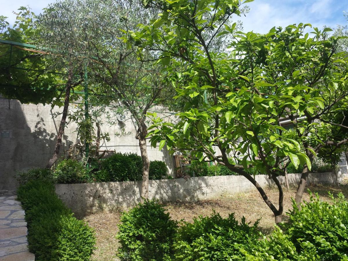 אולסינץ' Hoxha Rooms מראה חיצוני תמונה